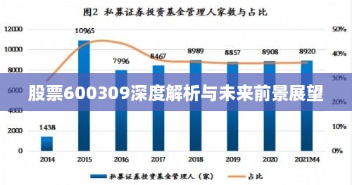 股票600309深度解析与未来前景展望