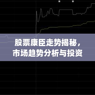 股票康臣走势揭秘，市场趋势分析与投资策略指南