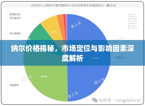 纳尔价格揭秘，市场定位与影响因素深度解析