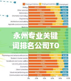 永州专业关键词排名公司TOP推荐，助力您的业务飞跃！