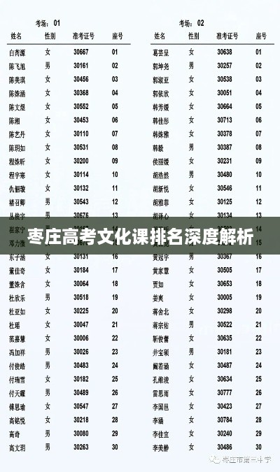 枣庄高考文化课排名深度解析