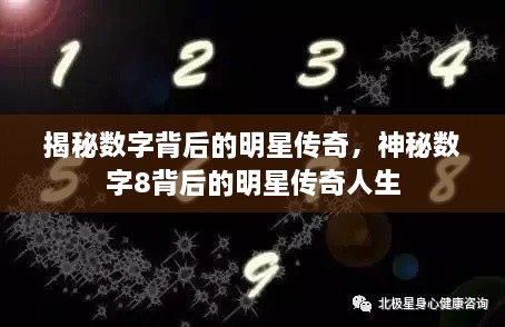 揭秘数字背后的明星传奇，神秘数字8背后的明星传奇人生