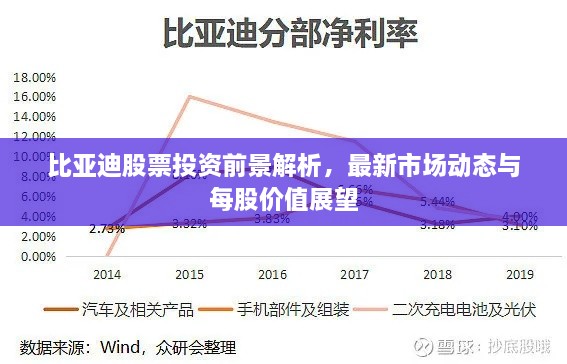比亚迪股票投资前景解析，最新市场动态与每股价值展望
