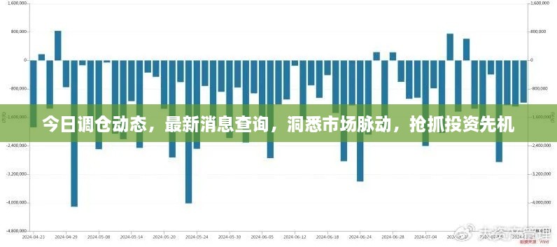 今日调仓动态，最新消息查询，洞悉市场脉动，抢抓投资先机