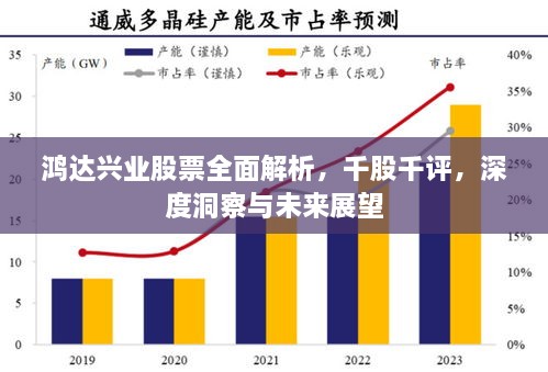 鸿达兴业股票全面解析，千股千评，深度洞察与未来展望