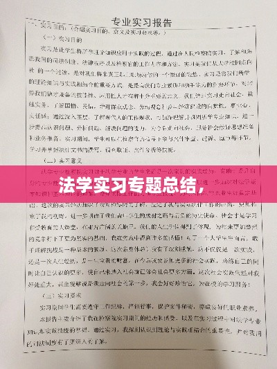 法学实习专题总结， 