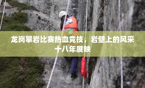 龙岗攀岩比赛热血竞技，岩壁上的风采十八年展映