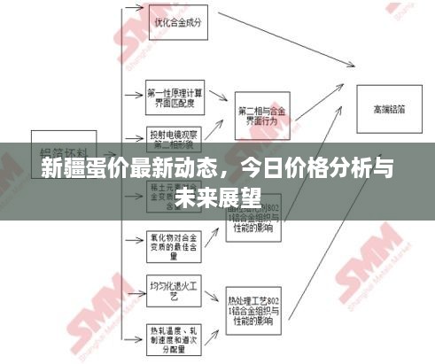 新疆蛋价最新动态，今日价格分析与未来展望