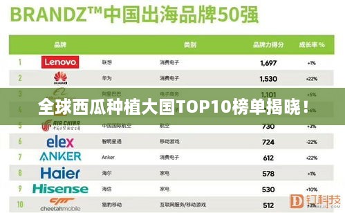 全球西瓜种植大国TOP10榜单揭晓！