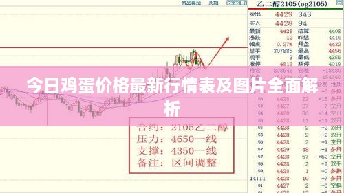 今日鸡蛋价格最新行情表及图片全面解析