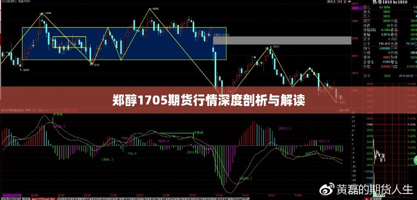 郑醇1705期货行情深度剖析与解读