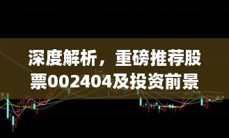 深度解析，重磅推荐股票002404及投资前景展望