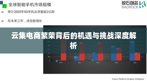 云集电商繁荣背后的机遇与挑战深度解析