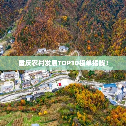 重庆农村发展TOP10榜单揭晓！