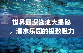 世界最深泳池大揭秘，潜水乐园的极致魅力探索