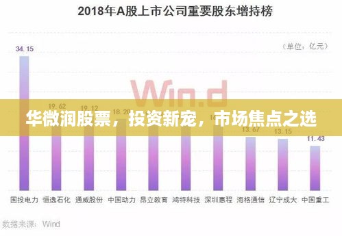华微润股票，投资新宠，市场焦点之选