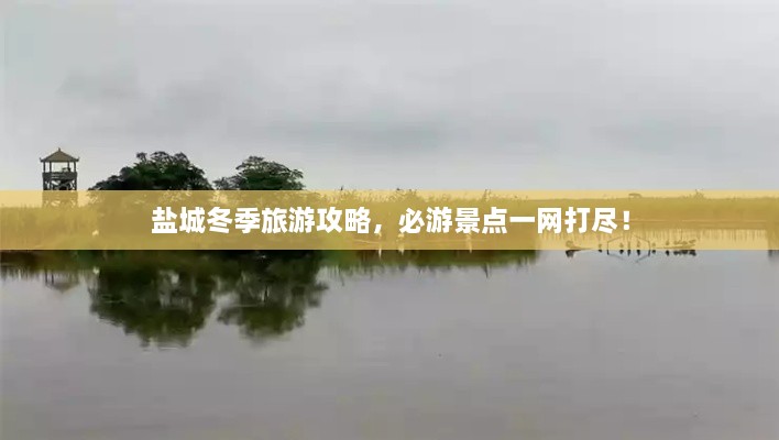 盐城冬季旅游攻略，必游景点一网打尽！