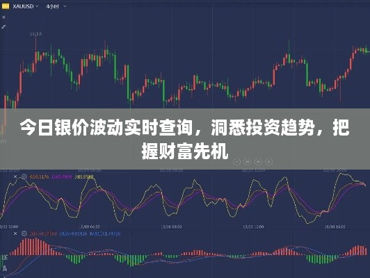 今日银价波动实时查询，洞悉投资趋势，把握财富先机