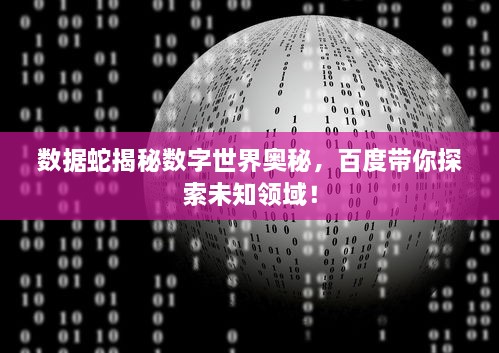 数据蛇揭秘数字世界奥秘，百度带你探索未知领域！