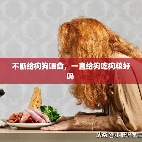 不断给狗狗喂食，一直给狗吃狗粮好吗 