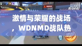 激情与荣耀的战场，WDNMD战队热血比赛日