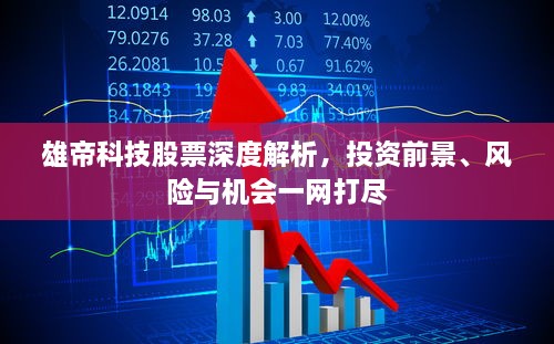 雄帝科技股票深度解析，投资前景、风险与机会一网打尽