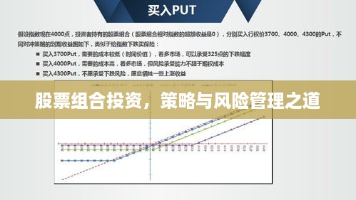 股票组合投资，策略与风险管理之道