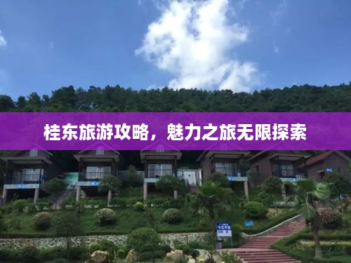 桂东旅游攻略，魅力之旅无限探索