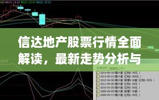 信达地产股票行情全面解读，最新走势分析与预测