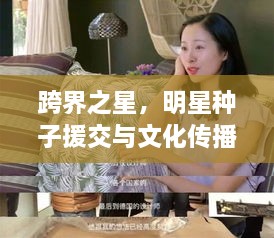 跨界之星，明星种子援交与文化传播的力量