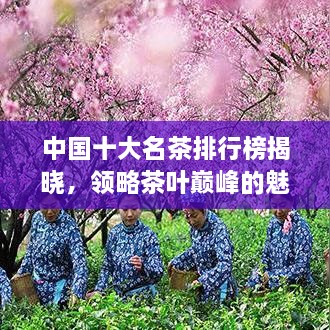 中国十大名茶排行榜揭晓，领略茶叶巅峰的魅力！