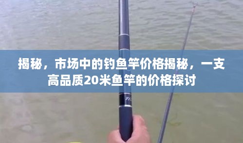 揭秘，市场中的钓鱼竿价格揭秘，一支高品质20米鱼竿的价格探讨