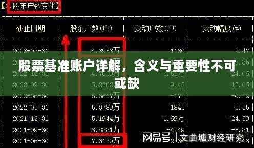 股票基准账户详解，含义与重要性不可或缺