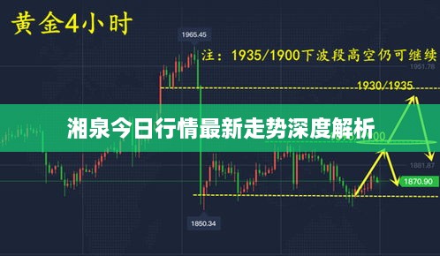 湘泉今日行情最新走势深度解析