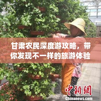 甘肃农民深度游攻略，带你发现不一样的旅游体验！