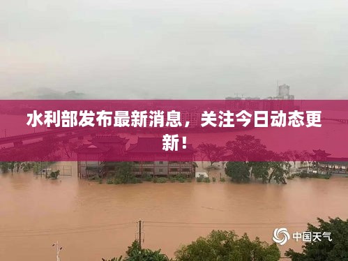 水利部发布最新消息，关注今日动态更新！