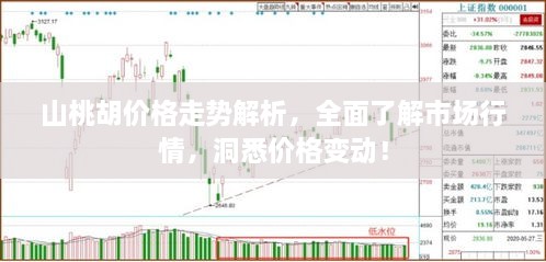 山桃胡价格走势解析，全面了解市场行情，洞悉价格变动！