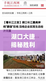 湖口大捷揭秘胜利背后故事，新闻头条重磅报道