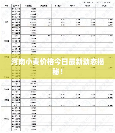 河南小麦价格今日最新动态揭秘！