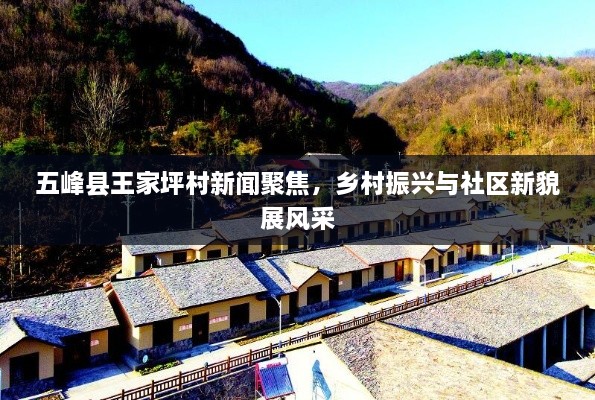 五峰县王家坪村新闻聚焦，乡村振兴与社区新貌展风采