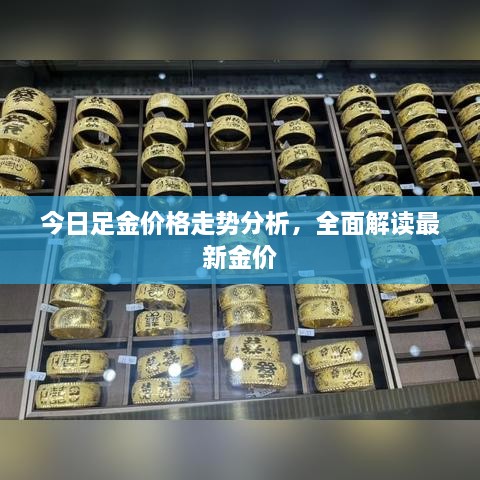 今日足金价格走势分析，全面解读最新金价