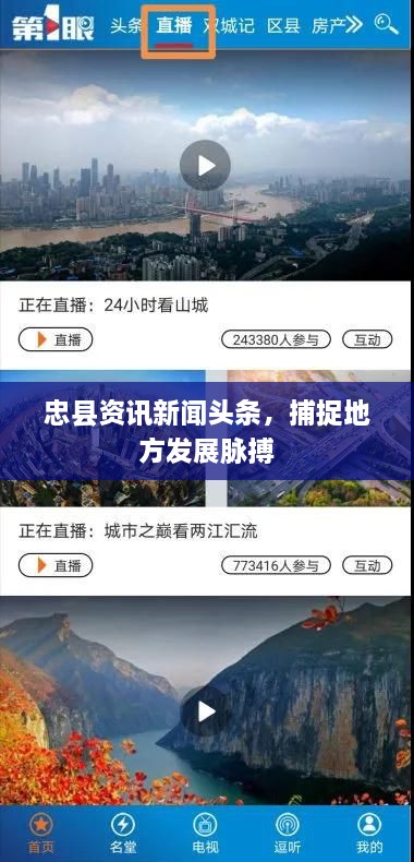 忠县资讯新闻头条，捕捉地方发展脉搏