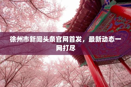 徐州市新闻头条官网首发，最新动态一网打尽