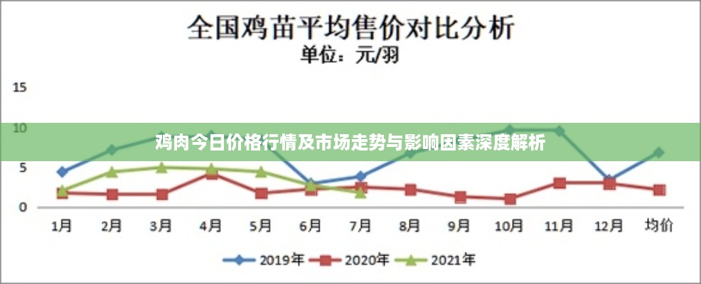 鸡肉今日价格行情及市场走势与影响因素深度解析