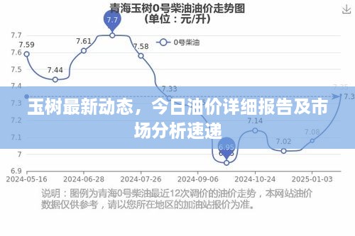 玉树最新动态，今日油价详细报告及市场分析速递