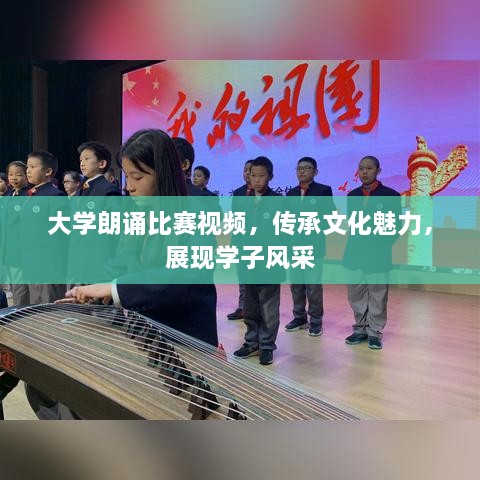 大学朗诵比赛视频，传承文化魅力，展现学子风采