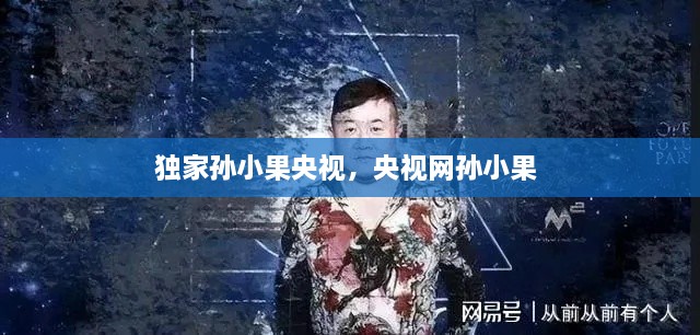 独家孙小果央视，央视网孙小果 