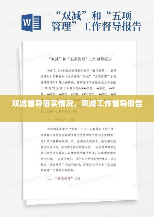 双减督导落实情况，双减工作督导报告 