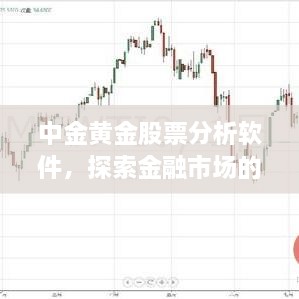 中金黄金股票分析软件，探索金融市场的得力工具