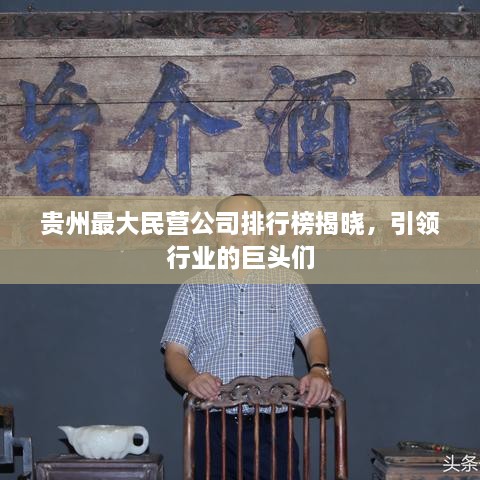 贵州最大民营公司排行榜揭晓，引领行业的巨头们